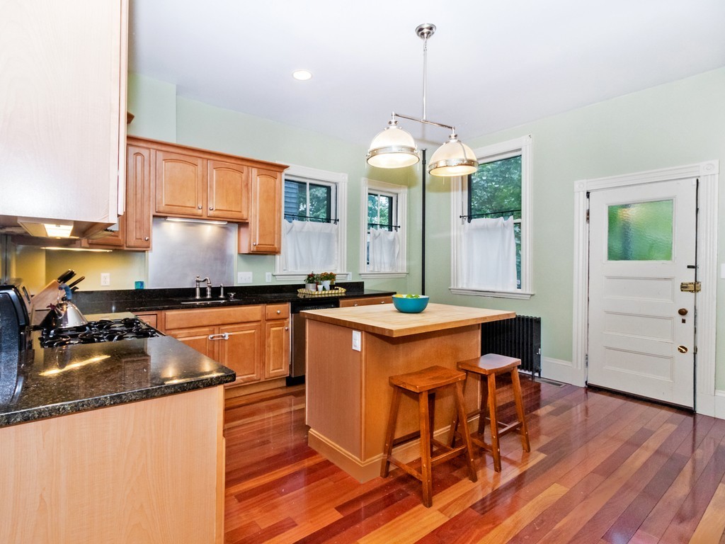 32 Adelaide Street, Unit 1 Boston, MA 02130 - Photo 18 of 25 Gallery Image 18