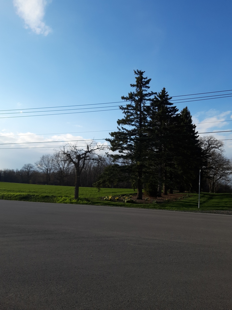 1804 Chandolin Road Elgin, IL 60124 - Photo 34 of 37 a view of a road with a yard and large trees