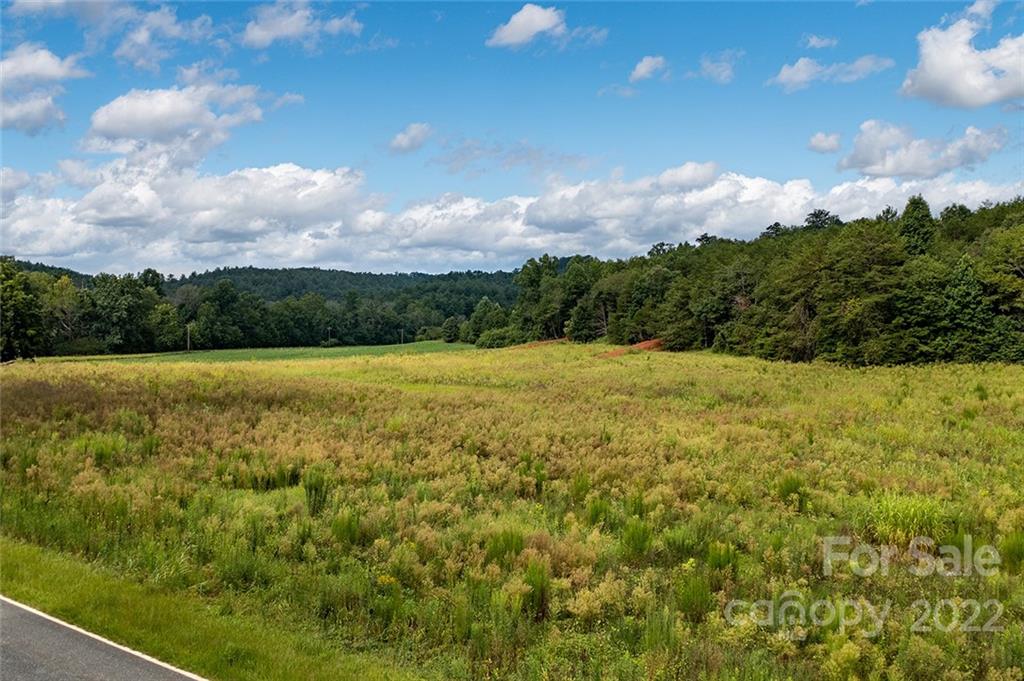 0 Golden Valley Church Road Bostic, NC 28018 - Photo 14 of 24 Gallery Image 14