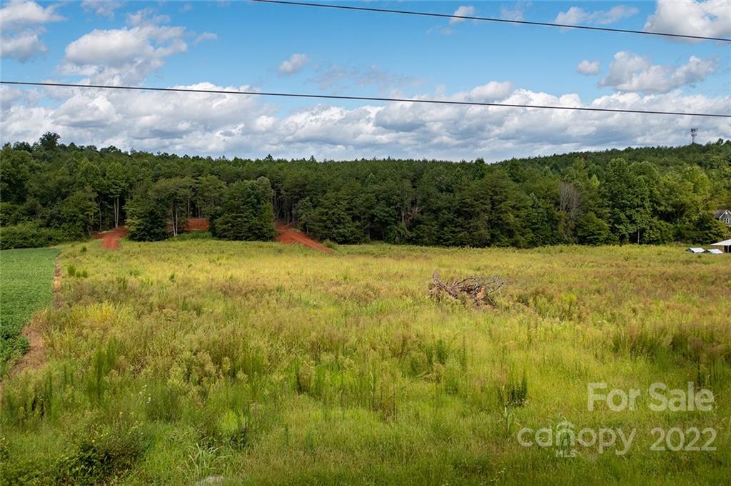 0 Golden Valley Church Road Bostic, NC 28018 - Photo 15 of 24 Gallery Image 15