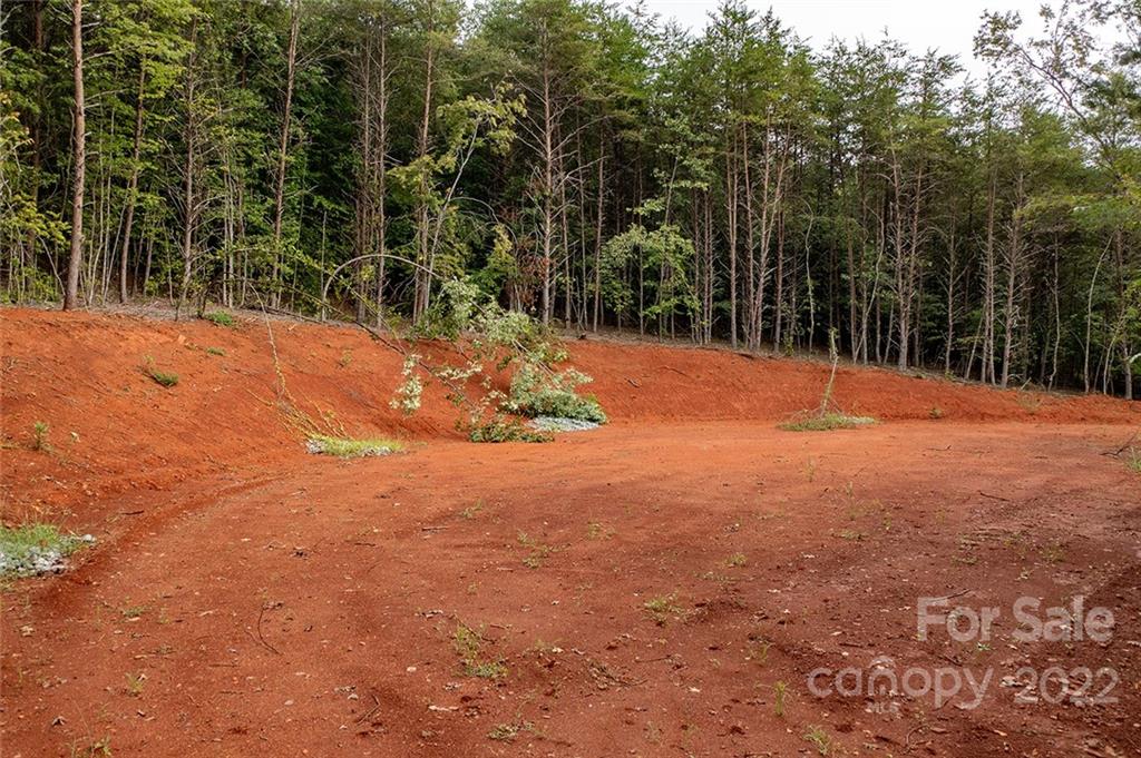0 Golden Valley Church Road Bostic, NC 28018 - Photo 16 of 24 Gallery Image 16