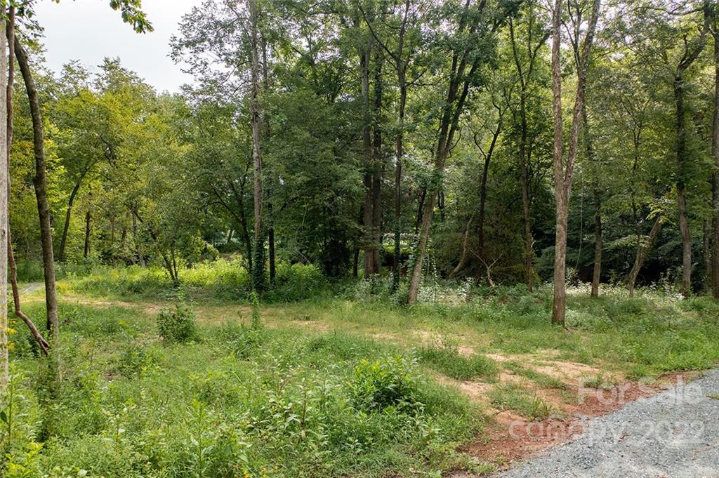 0 Golden Valley Church Road Bostic, NC 28018 - Photo 24 of 24 Gallery Image 24