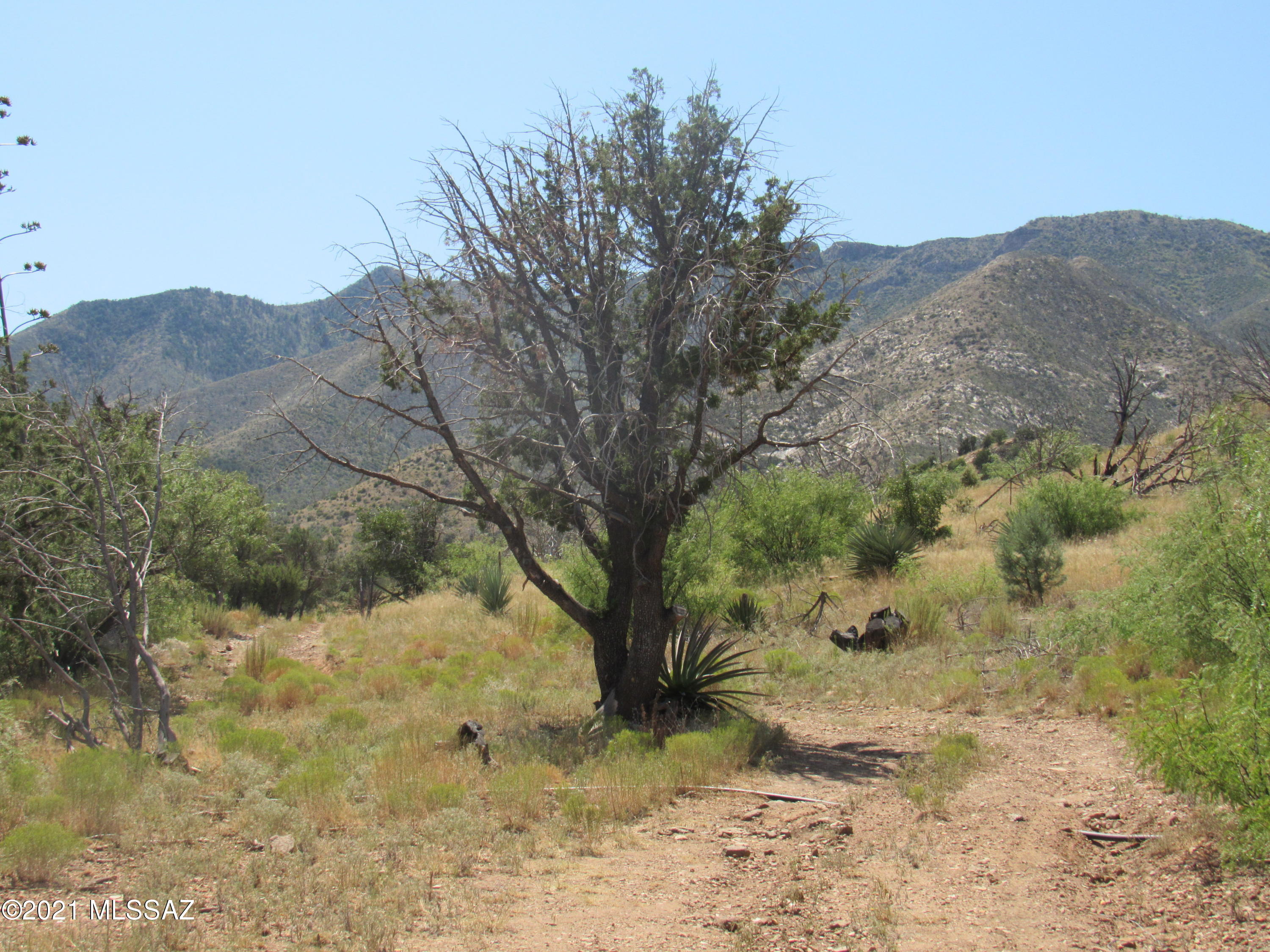 6.414-acre West Hilltop Road San Simon, AZ 85632 - Photo 4 of 5