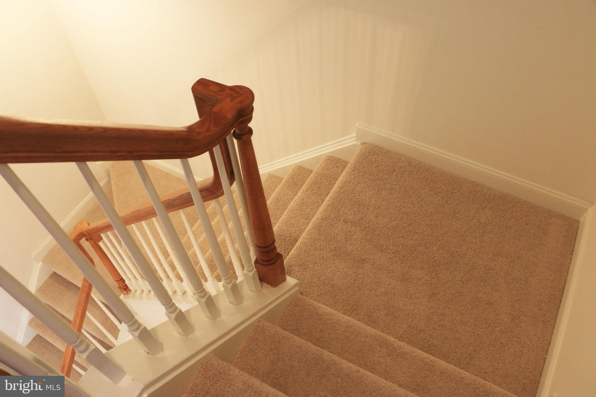 714 Ridgemont Avenue Rockville, MD 20850 - Photo 16 of 46 New carpet
