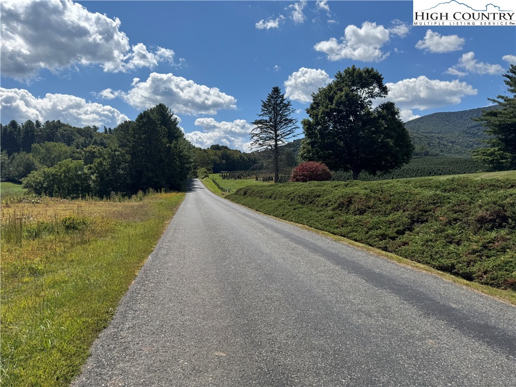 Colvard Farm Rd Road Jefferson, NC 28640 - Photo 3 of 15 Gallery Image 3