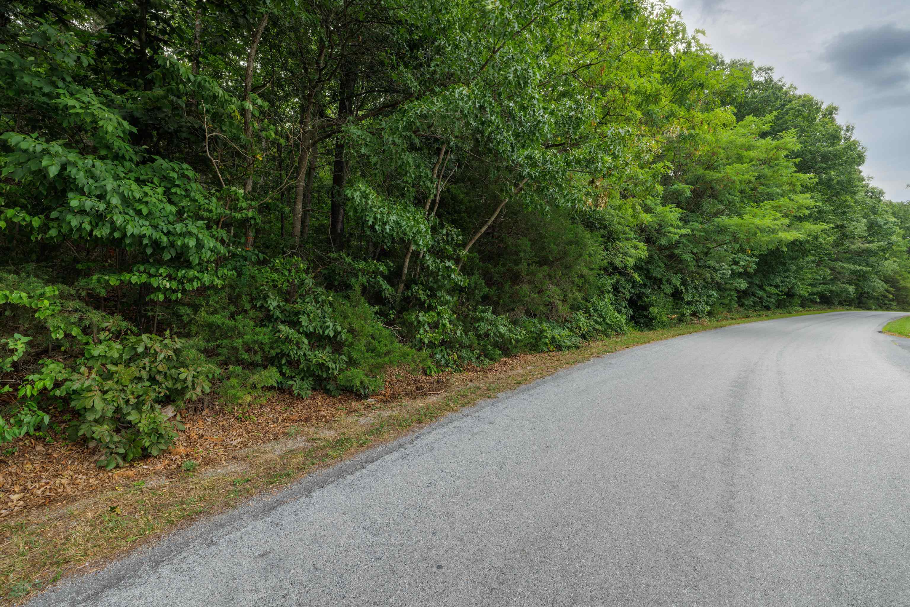 0 Pine Bluff Road Waynesboro, VA 22980 - Photo 12 of 29 Gallery Image 12