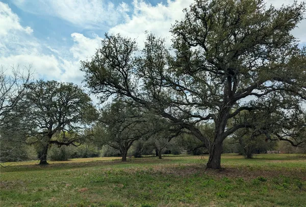 a view of backyard with green space