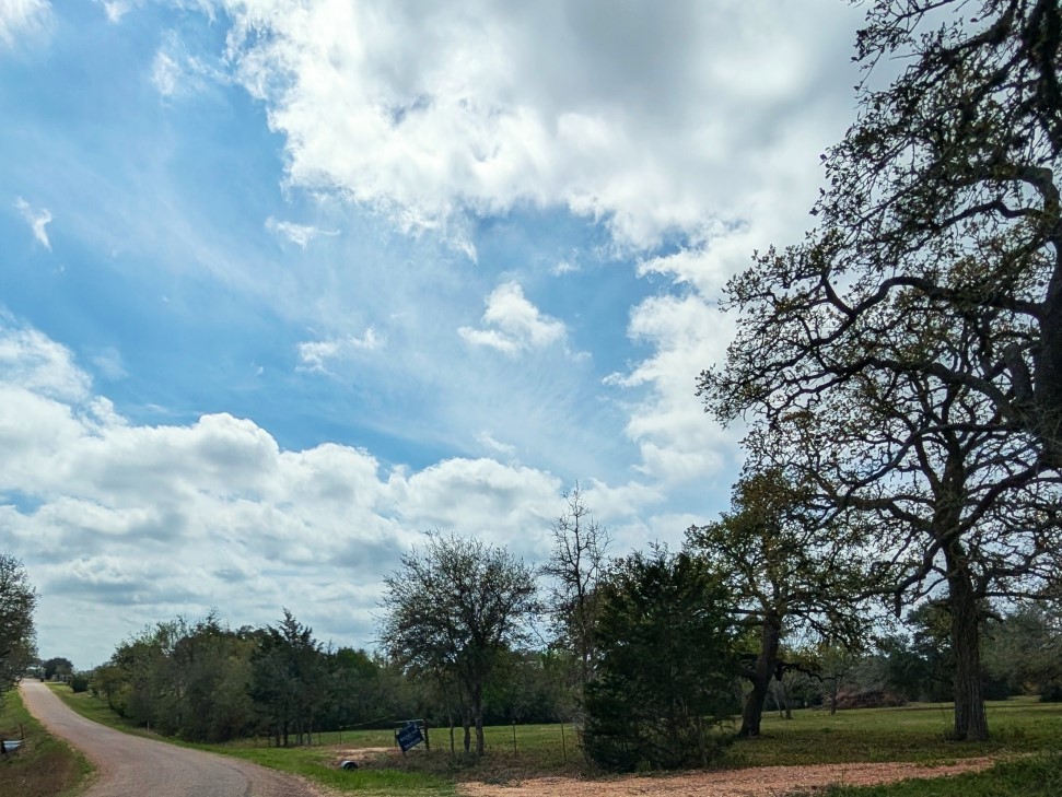 9487 Bauer Road Fayetteville, TX 78940 - Photo 12 of 16 a view of a city with lot of trees