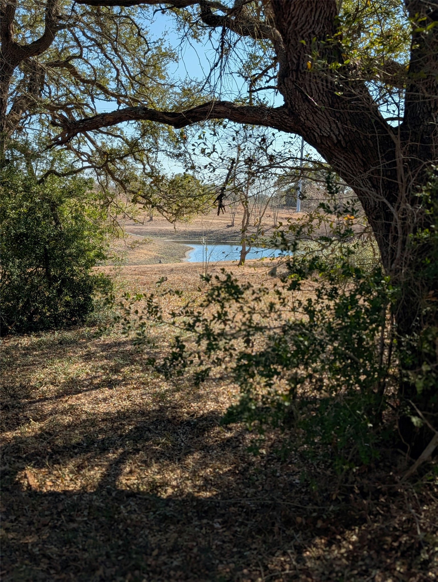 9487 Bauer Road Fayetteville, TX 78940 - Photo 6 of 16 a view of a yard with wooden fence