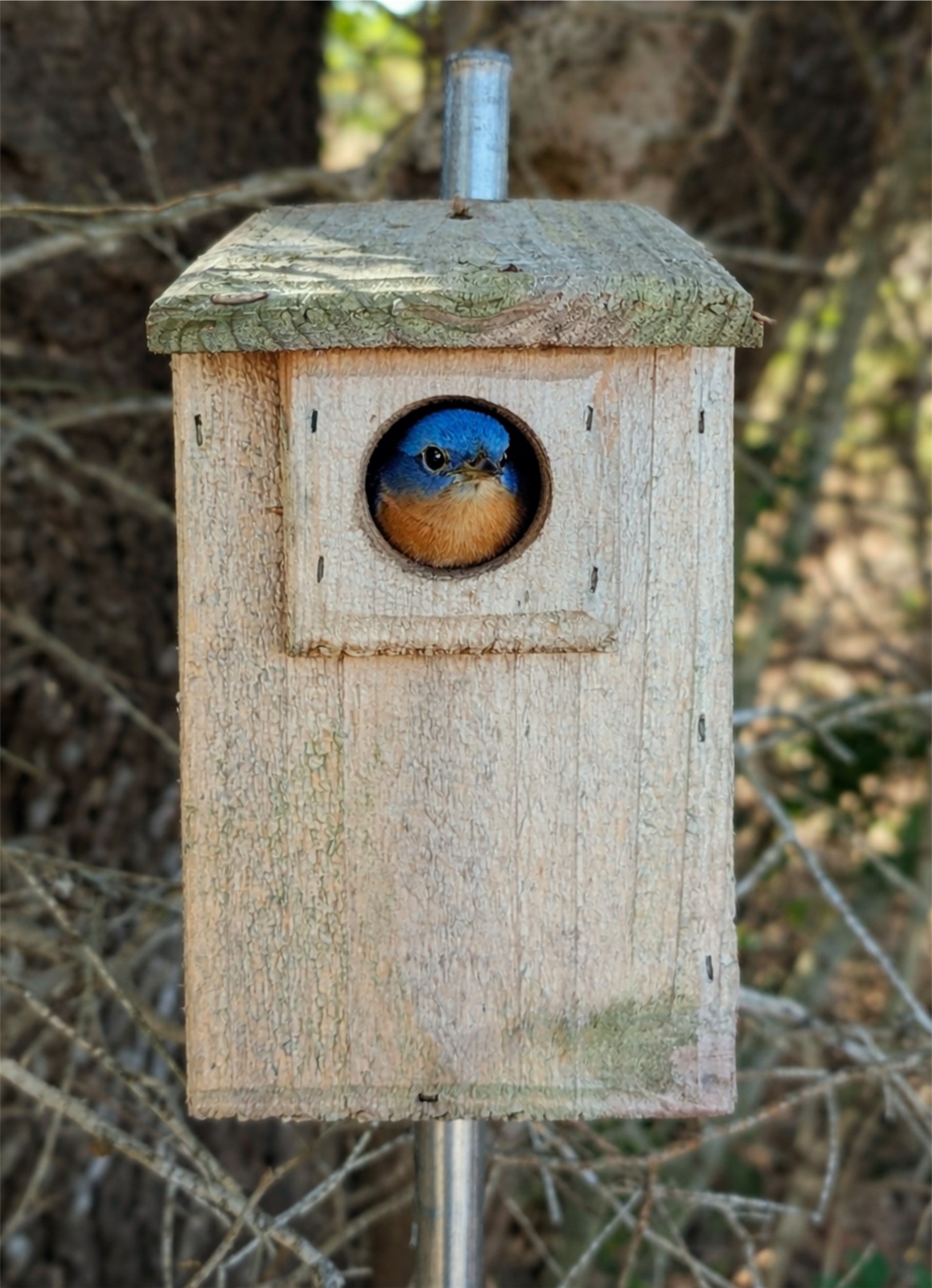 9487 Bauer Road Fayetteville, TX 78940 - Photo 7 of 16