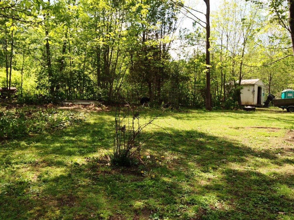 66 Litchfield Road Freeport, ME 04032 - Photo 14 of 15 This is a view of the side yard. The...