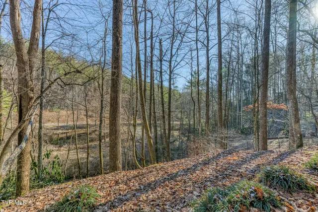 $125,000 | 469 Moreland Drive, Butler, TN 37640