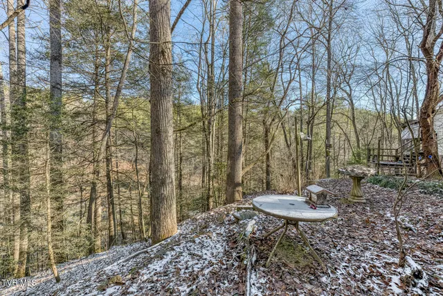 $125,000 | 469 Moreland Drive, Butler, TN 37640