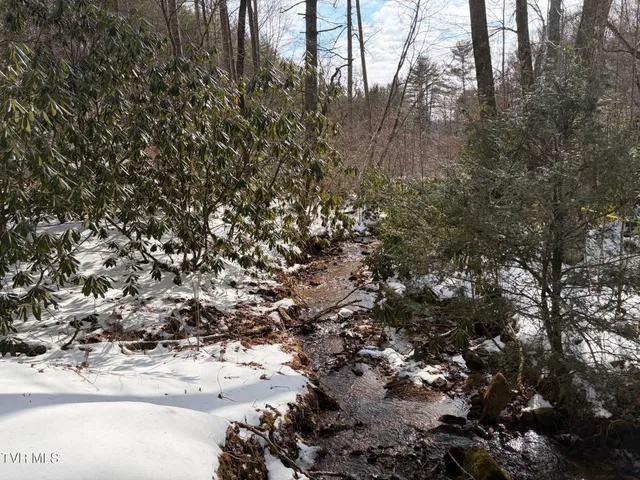 $125,000 | 469 Moreland Drive, Butler, TN 37640