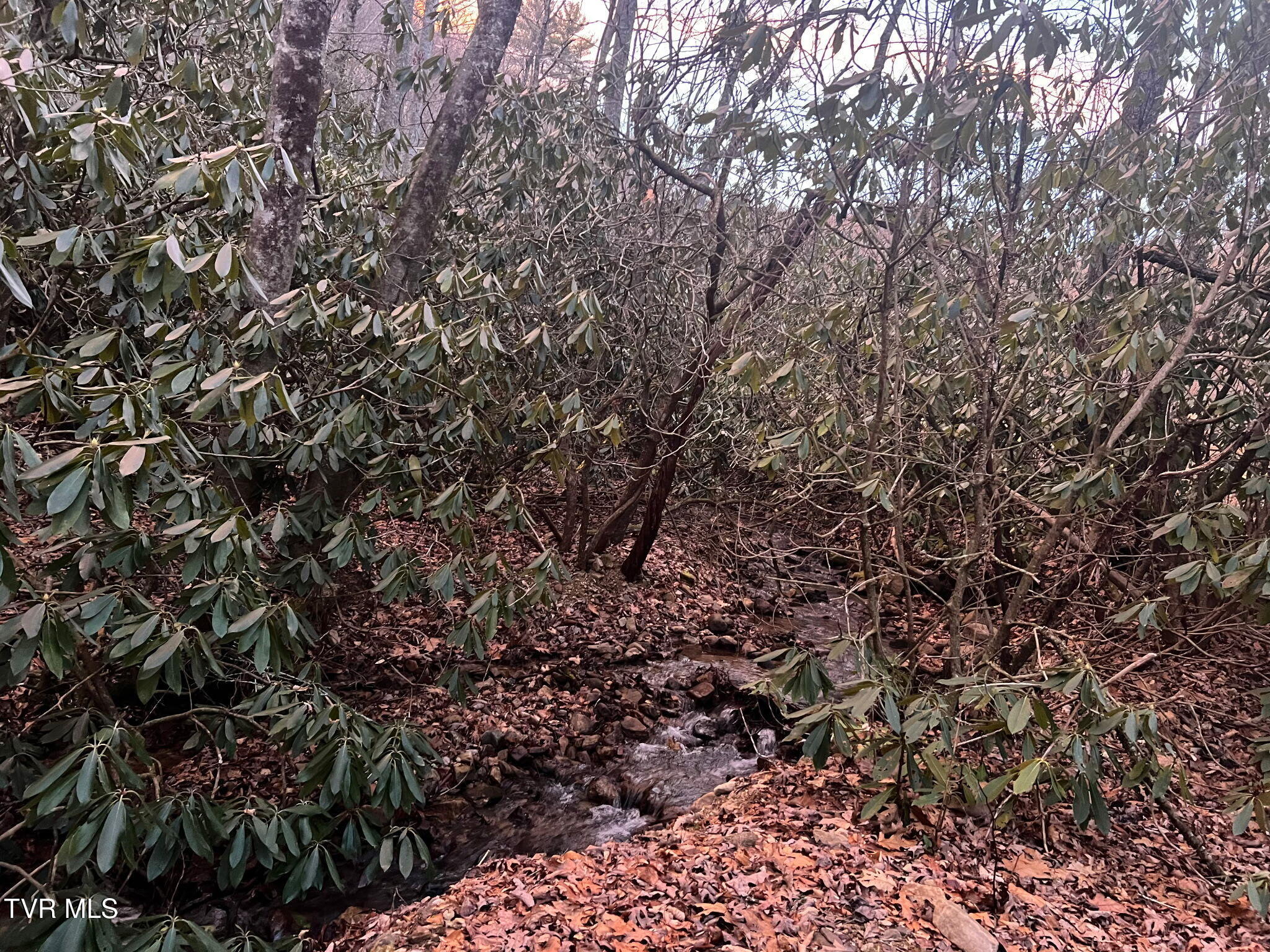 469 Moreland Drive Butler, TN 37640 - Photo 37 of 37 IMG_20260210_104225