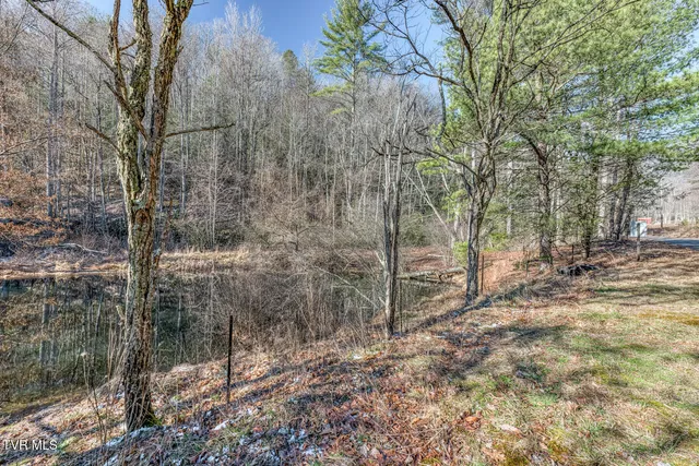 $125,000 | 469 Moreland Drive, Butler, TN 37640