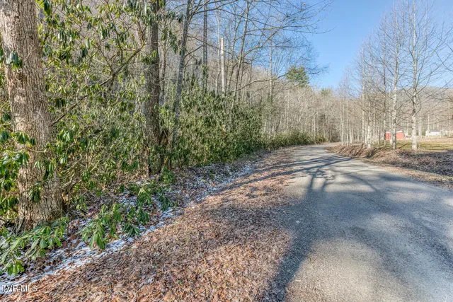 $125,000 | 469 Moreland Drive, Butler, TN 37640