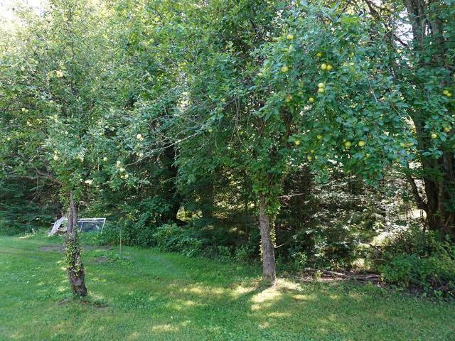 N4780 River Road Brantwood, WI 54513 - Photo 15 of 20 Gallery Image 15