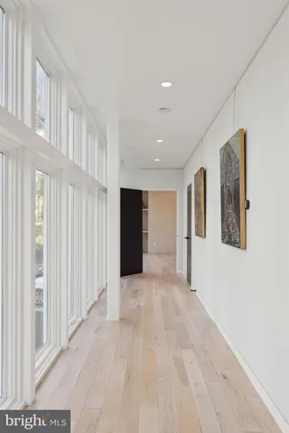 a view of backyard with large tree