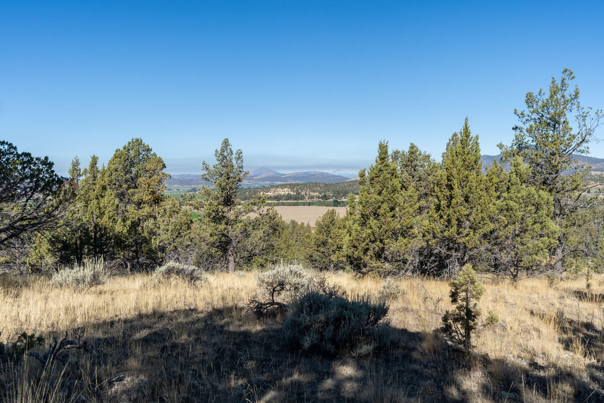 5598 North Mckay Road Prineville, OR 97754 - Photo 73 of 81 IMG_5801