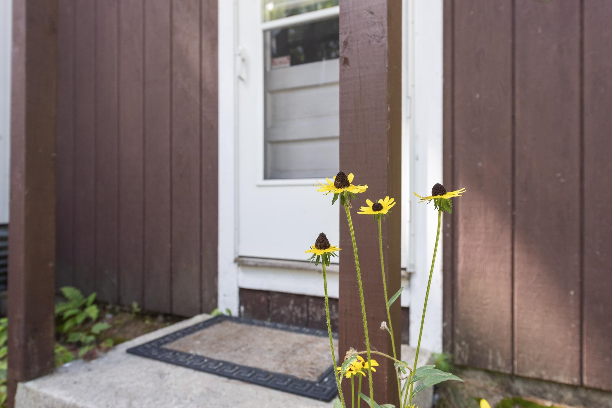 976 Highway 4 Danbury, NH 03230 - Photo 14 of 20