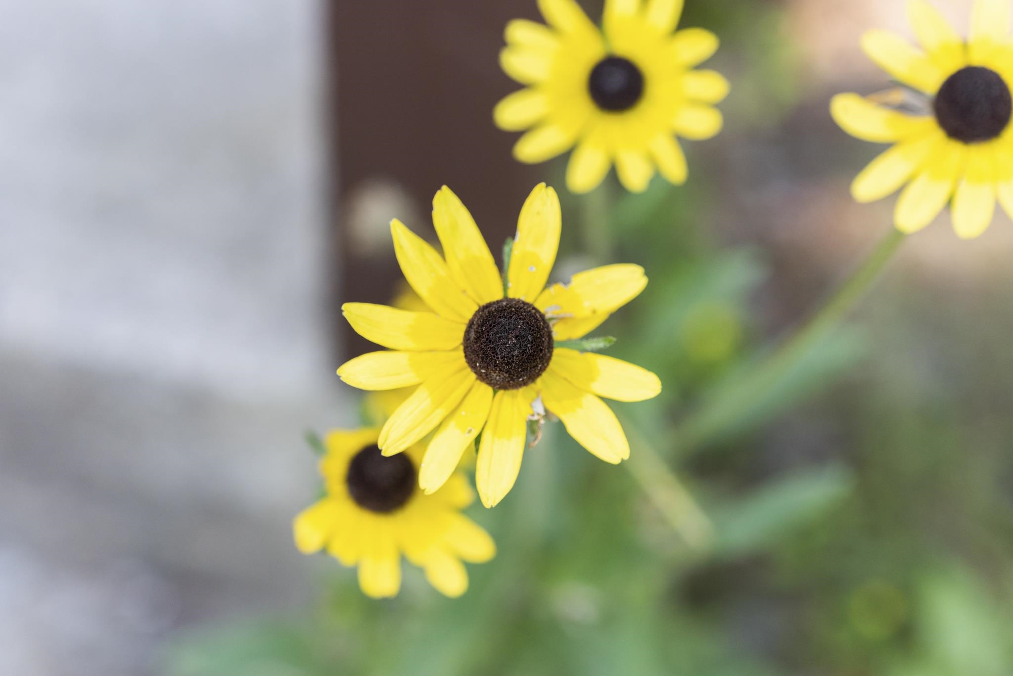 976 Highway 4 Danbury, NH 03230 - Photo 15 of 20