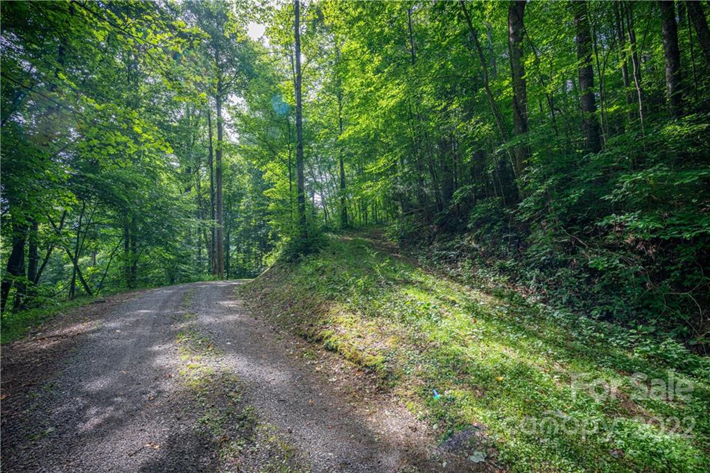 89 Esler Branch Road Waynesville, NC 28785 - Photo 38 of 44 Gallery Image 38
