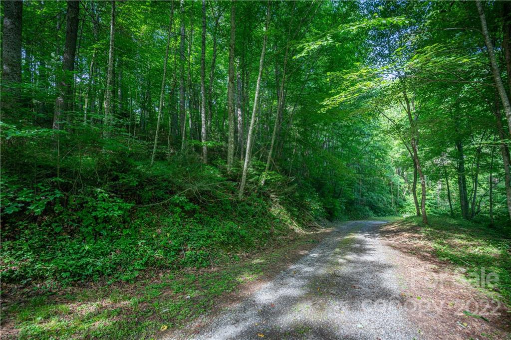 89 Esler Branch Road Waynesville, NC 28785 - Photo 39 of 44 Gallery Image 39