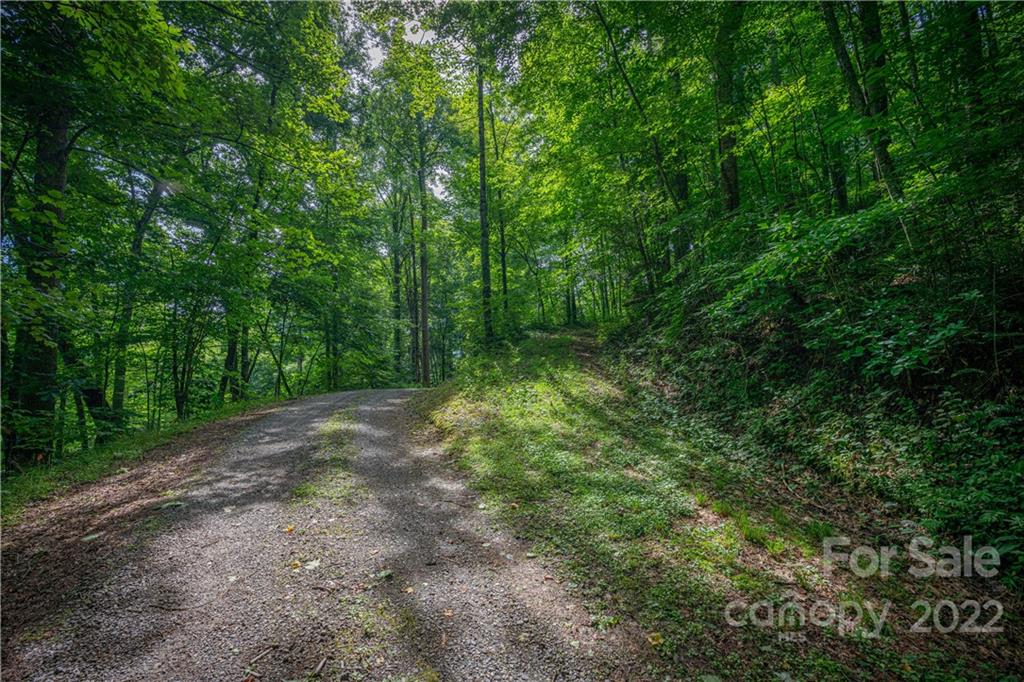 89 Esler Branch Road Waynesville, NC 28785 - Photo 40 of 44 Gallery Image 40
