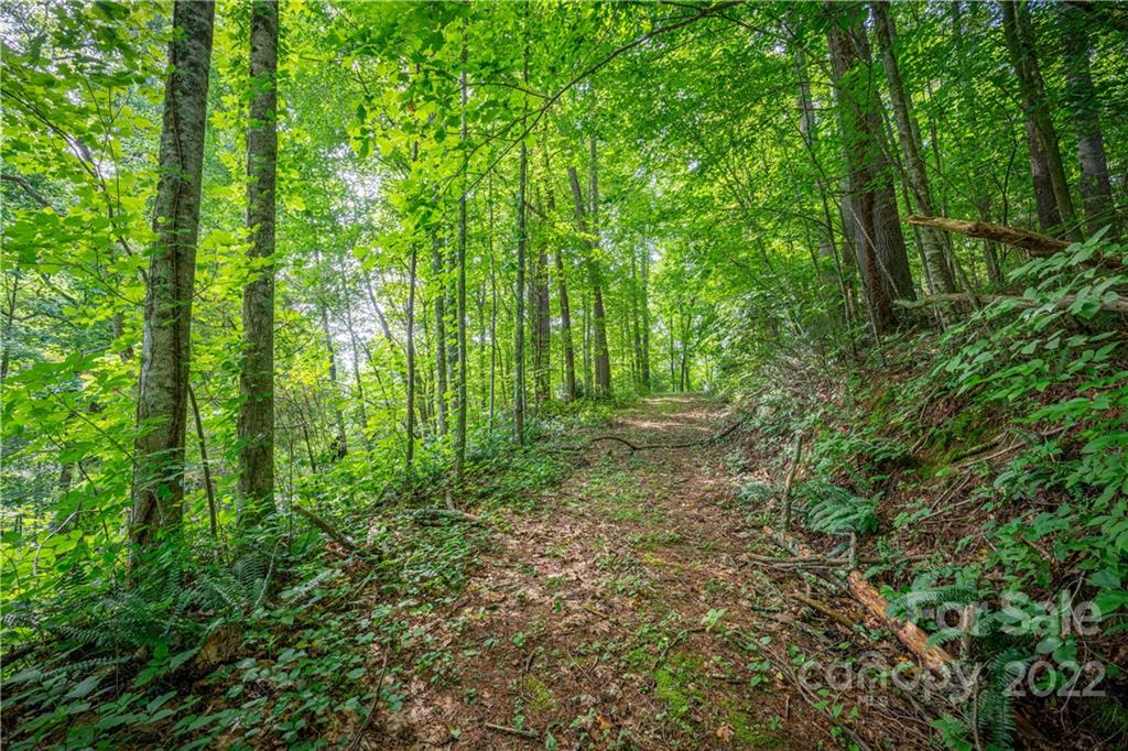 89 Esler Branch Road Waynesville, NC 28785 - Photo 41 of 44 Gallery Image 41