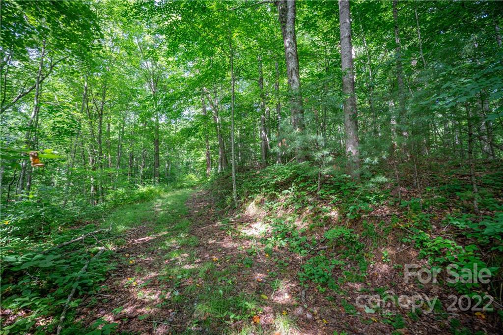 89 Esler Branch Road Waynesville, NC 28785 - Photo 42 of 44 Gallery Image 42