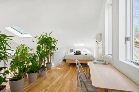 a view of a bedroom with furniture and a potted plant