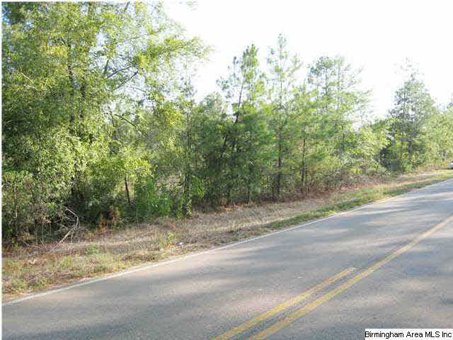 Howell Cove Road Talladega, AL 35160 - Photo 9 of 9