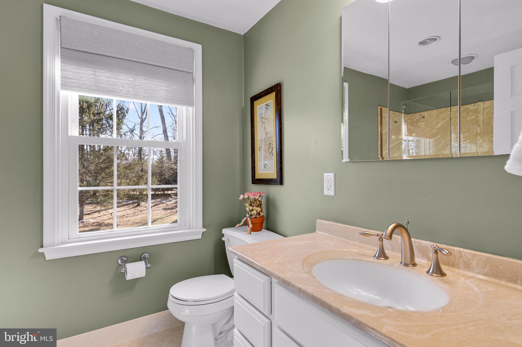 342 Colket Lane Wayne, PA 19087 - Photo 38 of 50