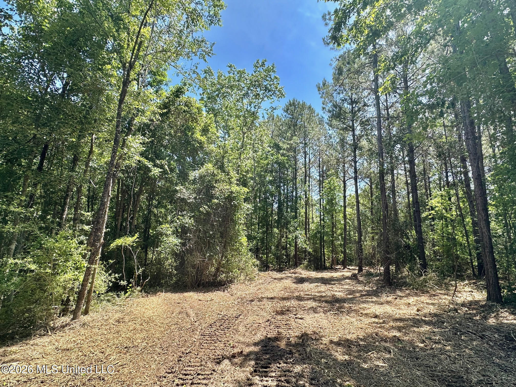 0 Mcnair Springs Road Magee, MS 39111 - Photo 3 of 25 2