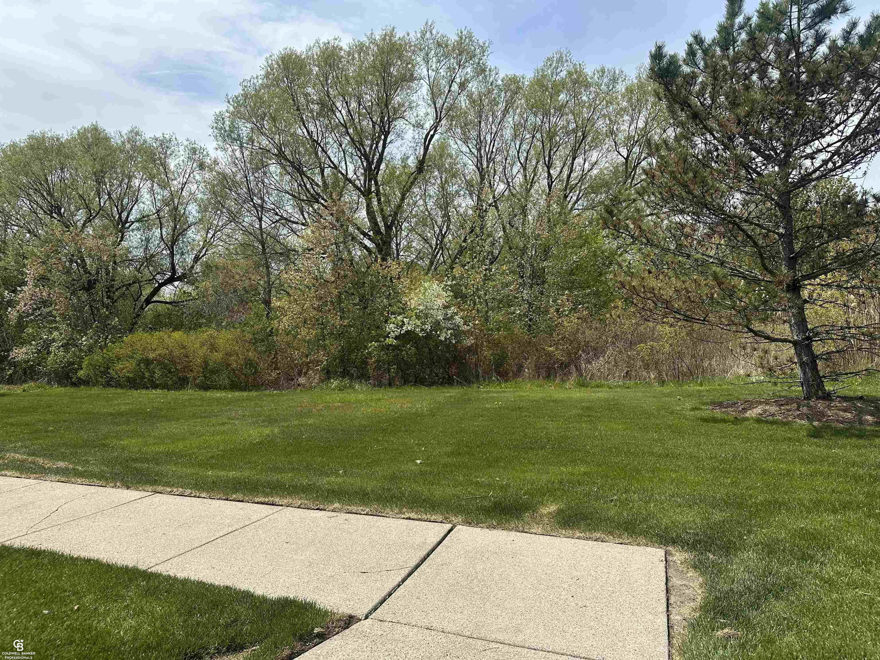 45805 Heather Ridge Drive Macomb, MI 48044 - Photo 16 of 17
