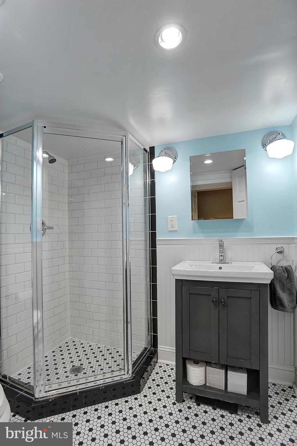 919 E Street Southeast Washington, DC 20003 - Photo 15 of 18 Second full bath in Lower Level - the suite life!