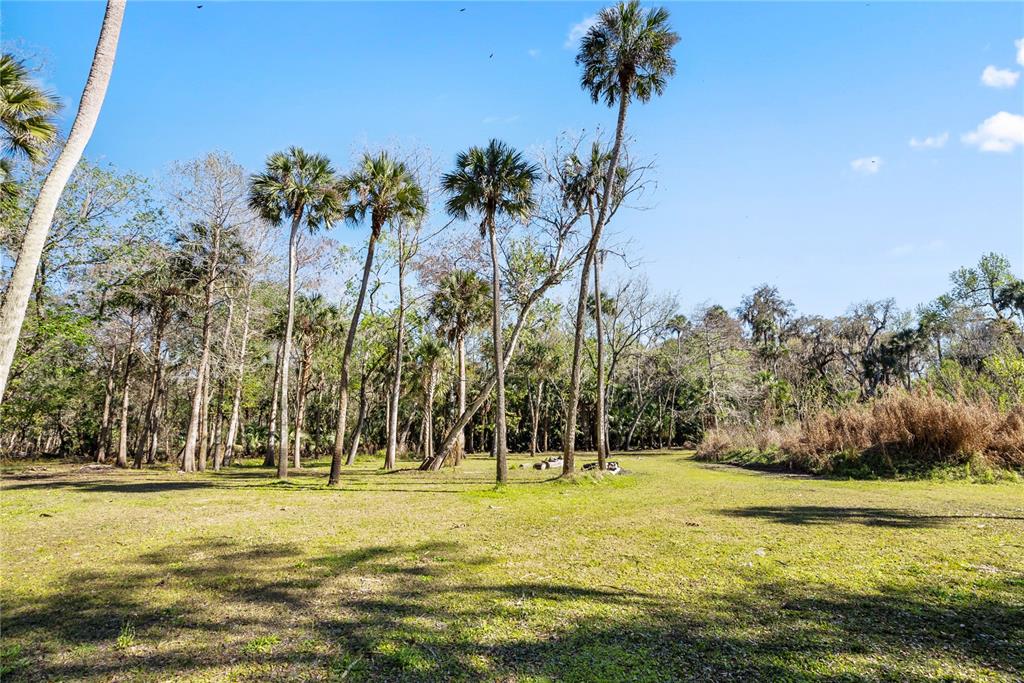 295 North Jungle Road Geneva, FL 32732 - Photo 32 of 53 Gallery Image 32
