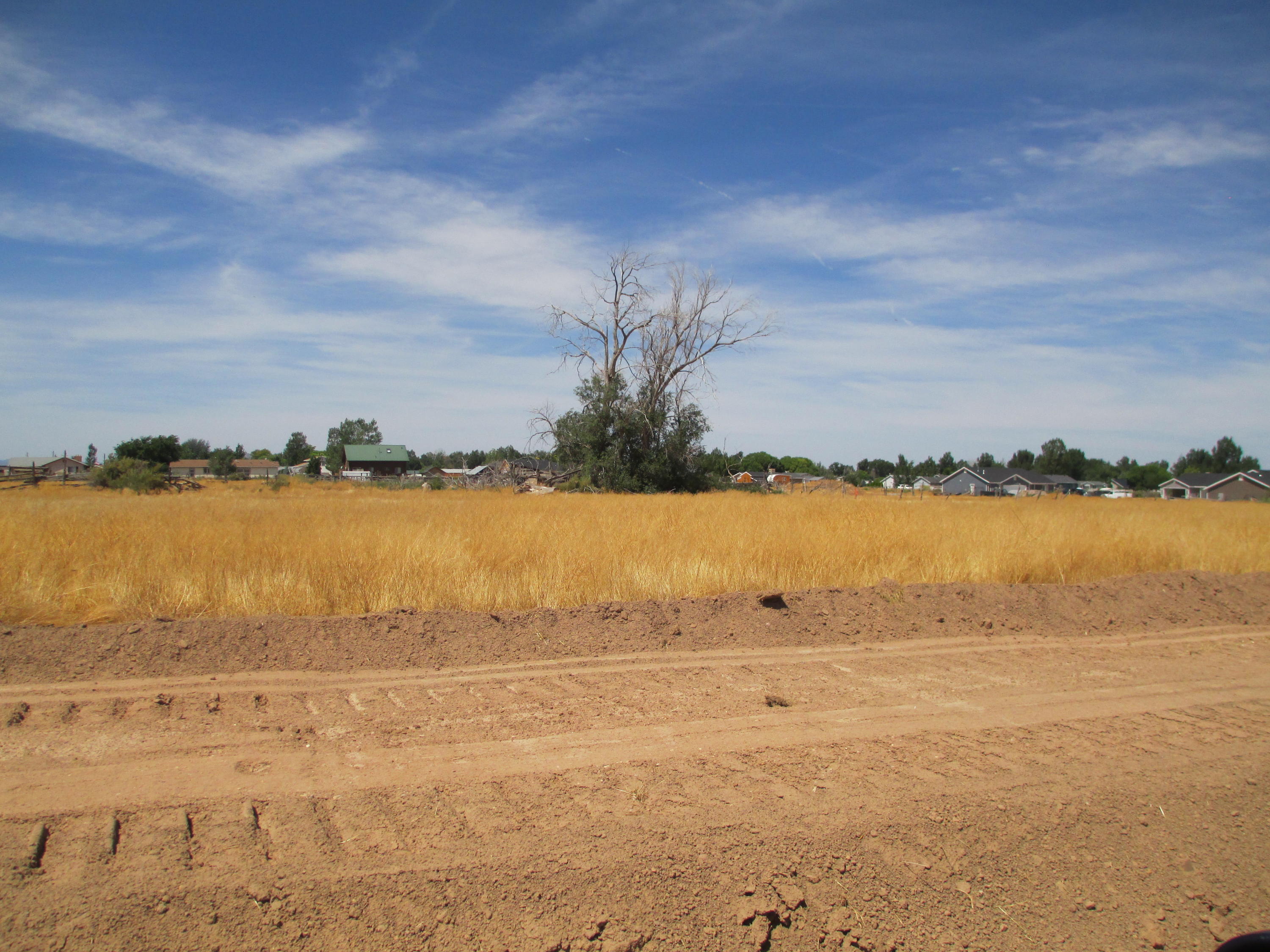 4237 High Noon Street, Unit LOT #82 Enoch, UT 84721 - Photo 1 of 1 Lot View