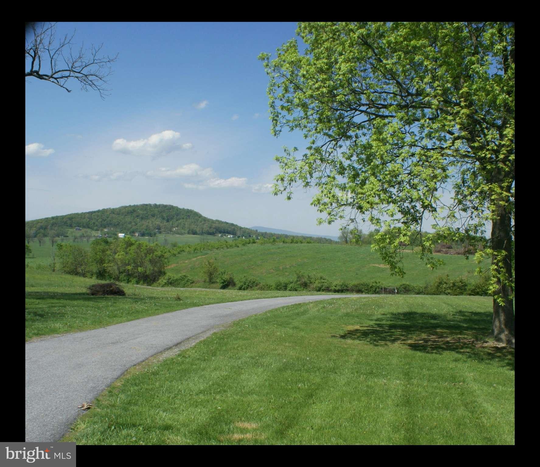 1659 Apple Pie Ridge Road Winchester, VA 22603 - Photo 3 of 20 View