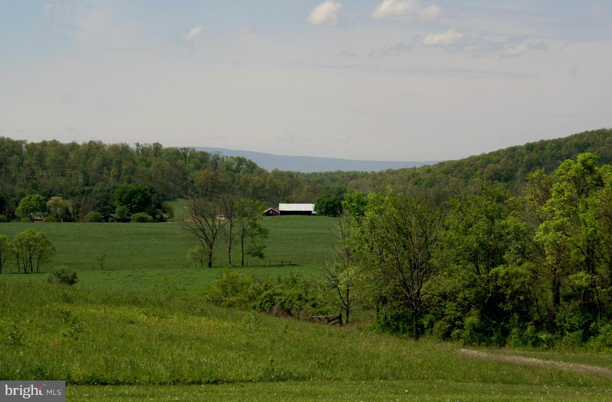 1659 Apple Pie Ridge Road Winchester, VA 22603 - Photo 4 of 20 View