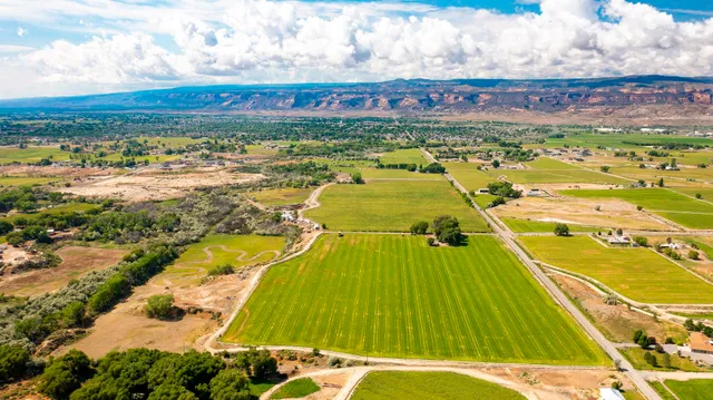 a view of a city with an ocean