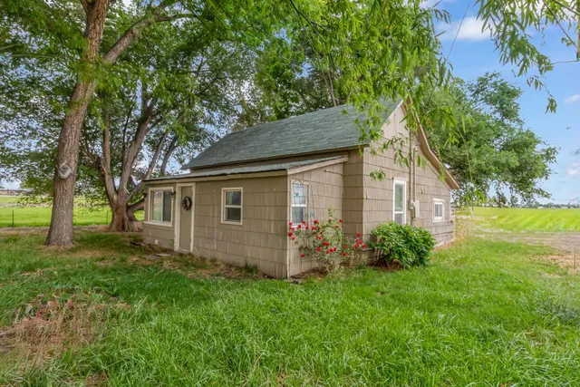 a view of a park with large trees