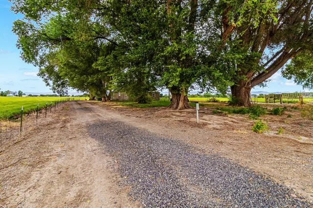 a view of an ocean and beach