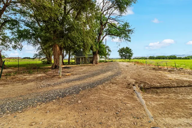 a view of a yard with trees