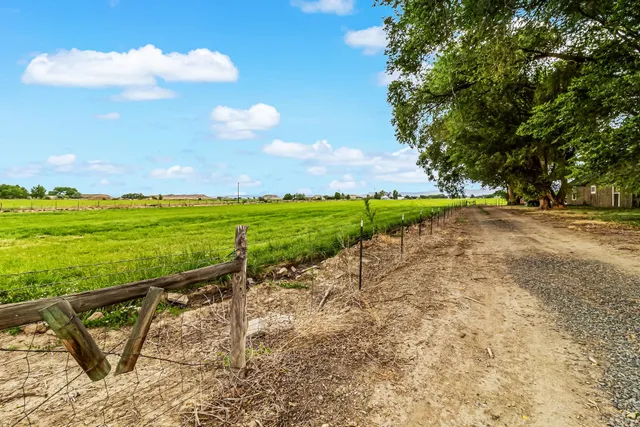a view of a garden with a wooden fence