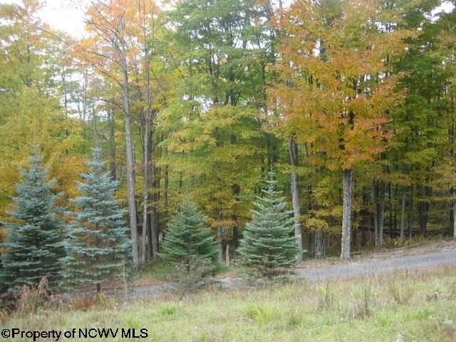 1208 Cabin Mountain Road Davis, WV 26260 - Photo 17 of 17 Gallery Image 17
