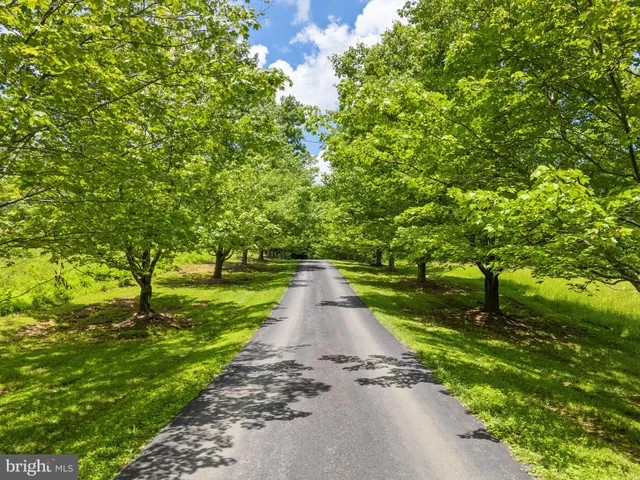 a backyard of a house with a yard and lake view