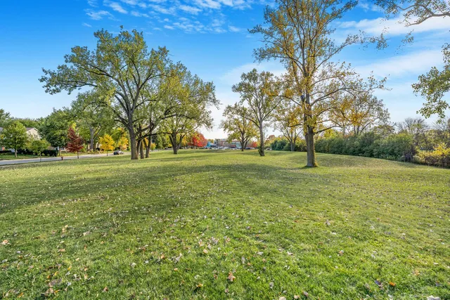 a view of a green field
