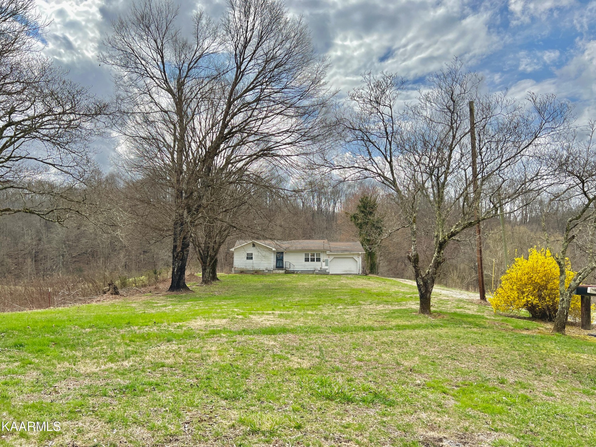 1547 Dripping Springs Road Seymour, TN 37865 - Photo 6 of 58